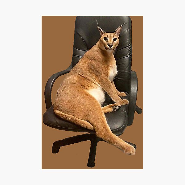 Big Floppa in a Chair Poster for Sale by kort p