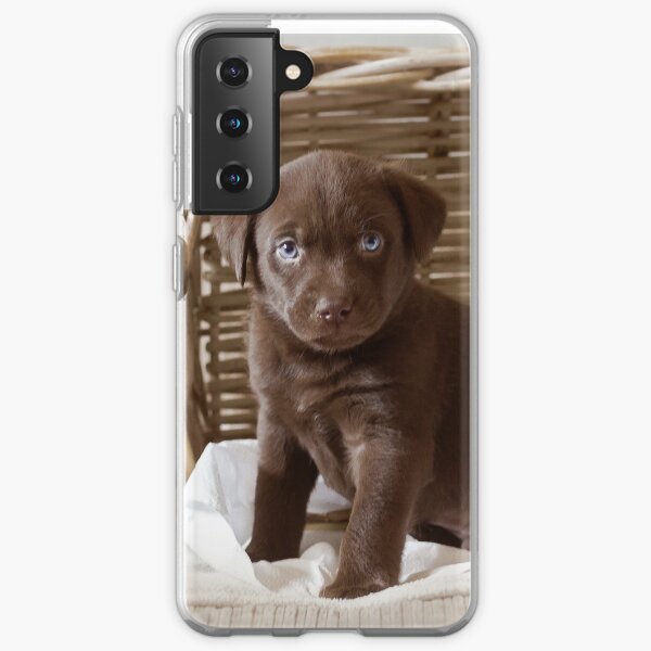 Chocolate Samsung Galaxy Handyhullen Redbubble