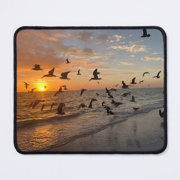 Item preview, Skimmers flying across the sunset designed and sold by Lexipooh76.