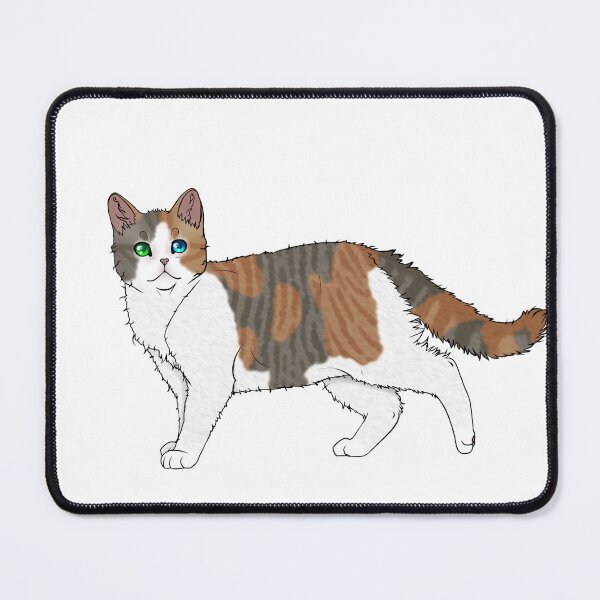 Item preview, American Wirehair Cat designed and sold by NovaesArt.