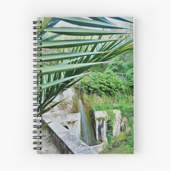 Item preview, St Martin fountain. designed and sold by elGatCendrer.