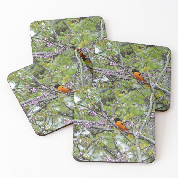Item preview, Baltimore Oriole designed and sold by Frankie Cat Photography.