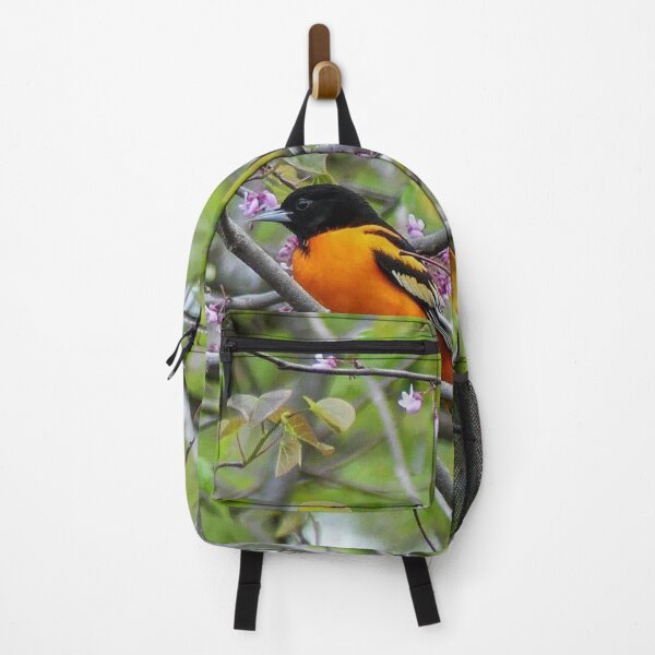 Item preview, Baltimore Oriole designed and sold by Frankie Cat Photography.