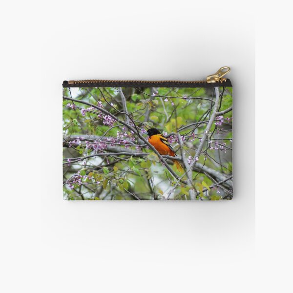 Artikelvorschau, Baltimore-Oriole entworfen und verkauft von Frankie Cat Photography.