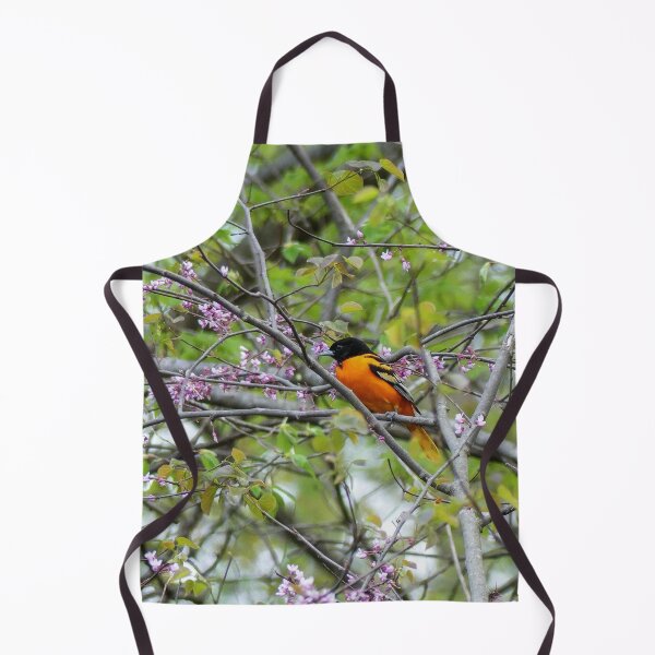 Item preview, Baltimore Oriole designed and sold by Frankie Cat Photography.