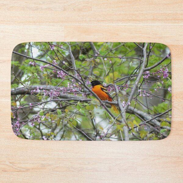 Item preview, Baltimore Oriole designed and sold by Frankie Cat Photography.