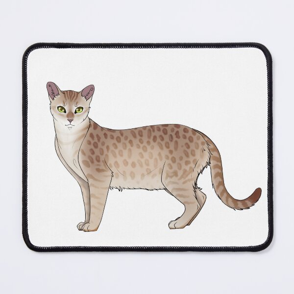 Item preview, Australian Mist designed and sold by NovaesArt.