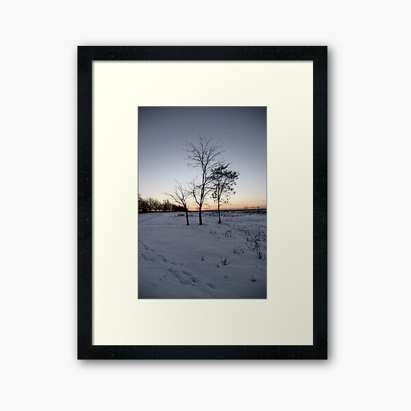 The Three Framed Art Print