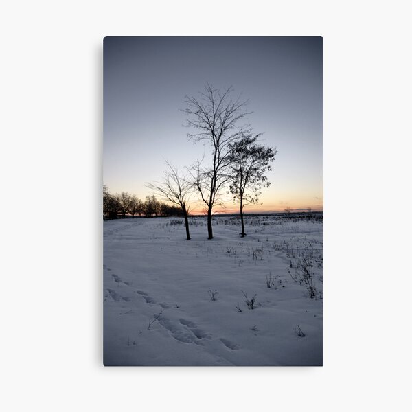 The Three Canvas Print