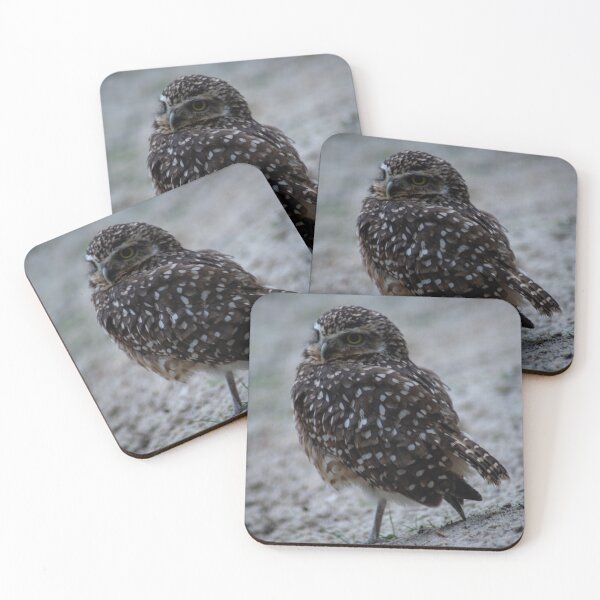 Item preview, Tiny Owl designed and sold by LarasSkulls.