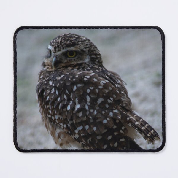 Item preview, Tiny Owl designed and sold by LarasSkulls.