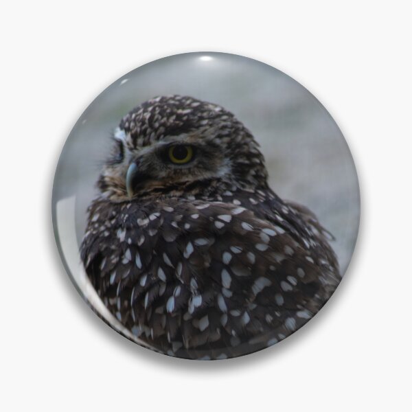 Item preview, Tiny Owl designed and sold by LarasSkulls.