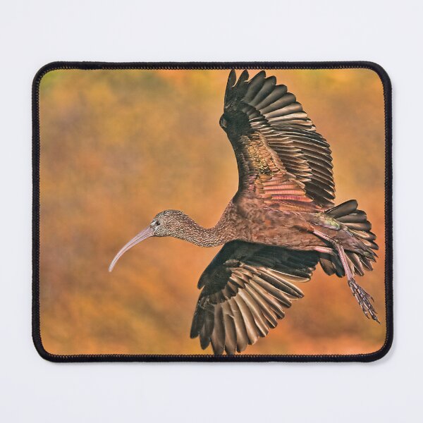 Item preview, The Glossy Ibis designed and sold by MorningFive.