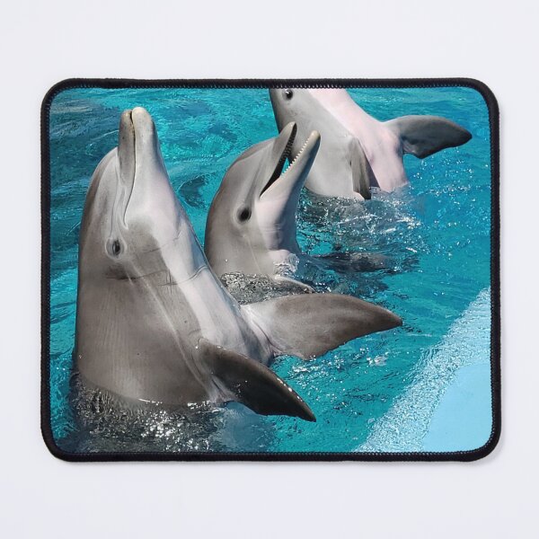 Item preview, Dolphins designed and sold by marygov.