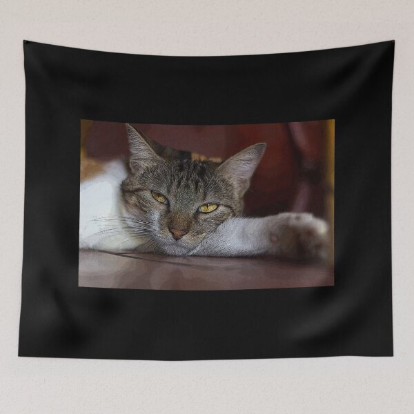 Item preview, cat look designed and sold by ricobarinas.