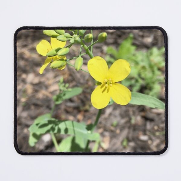 Item preview, Four Petal Wildflower designed and sold by Amanda1775.