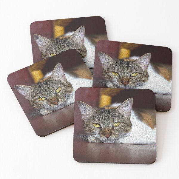 Item preview, cat look designed and sold by ricobarinas.