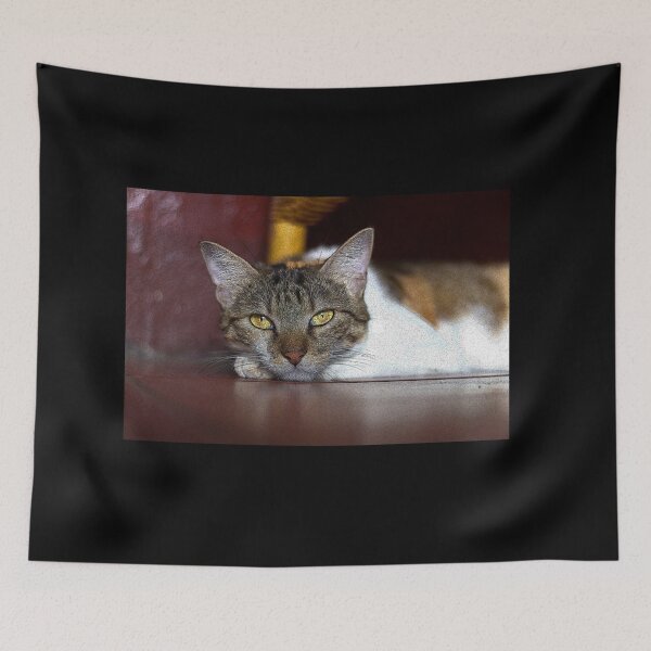 Item preview, cat look designed and sold by ricobarinas.