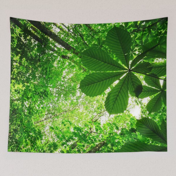 Item preview, West Coast: Rainforest Radiance designed and sold by Chancelrie.