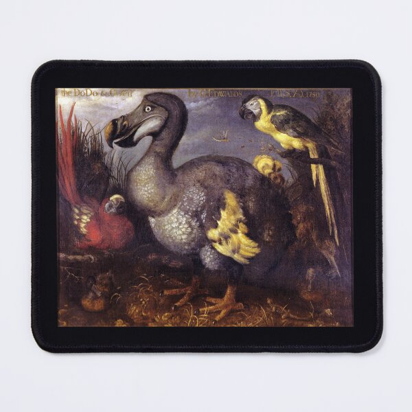 Item preview, Edwards' Dodo by Roelant Savery designed and sold by Amanda1775.