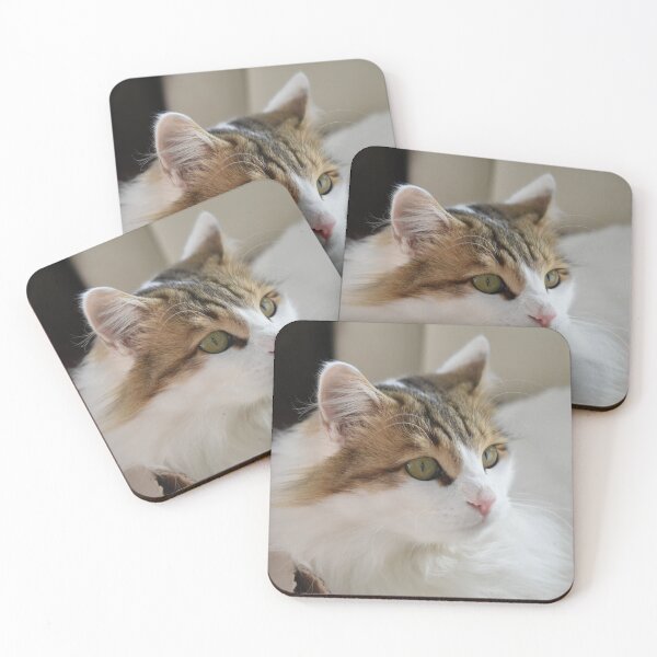 Item preview, Cat lying in a box designed and sold by PuzbieArts.