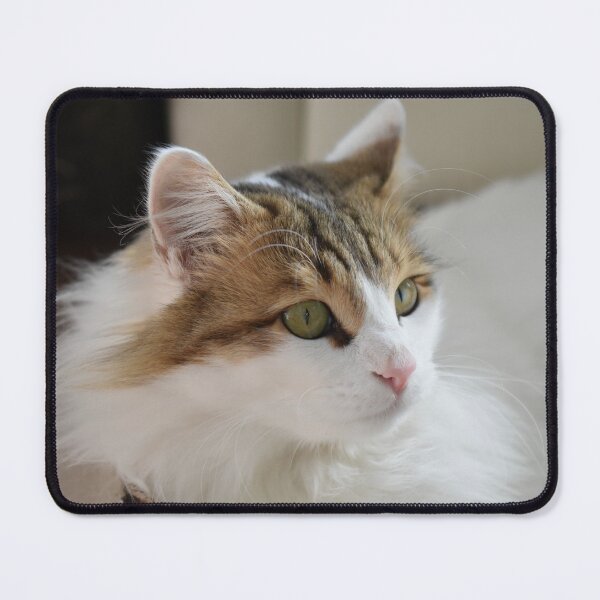 Item preview, Cat lying in a box designed and sold by PuzbieArts.