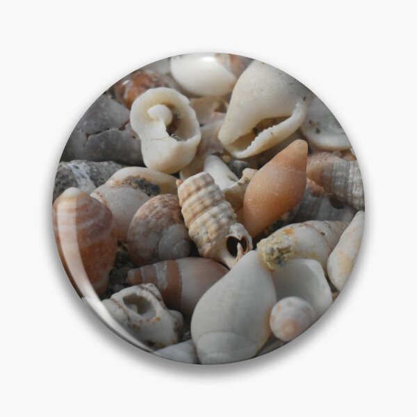 Item preview, Sea shell collection photograph designed and sold by PuzbieArts.