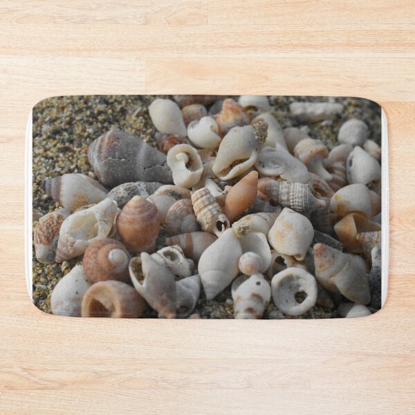 Item preview, Sea shell collection photograph designed and sold by PuzbieArts.