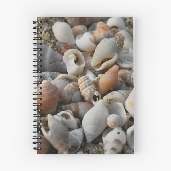 Item preview, Sea shell collection photograph designed and sold by PuzbieArts.