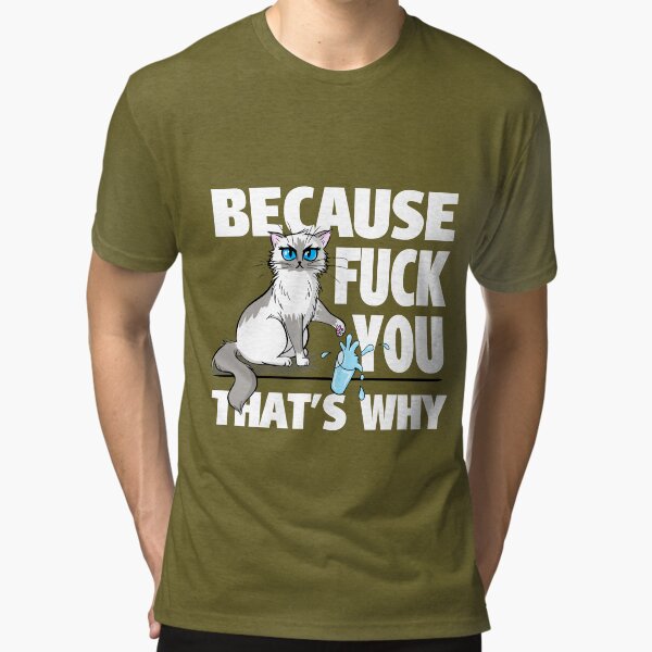 Tri-blend T-Shirt