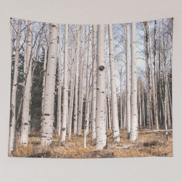 Item preview, Birch Forest, Trees of Reason designed and sold by Lostlogo.