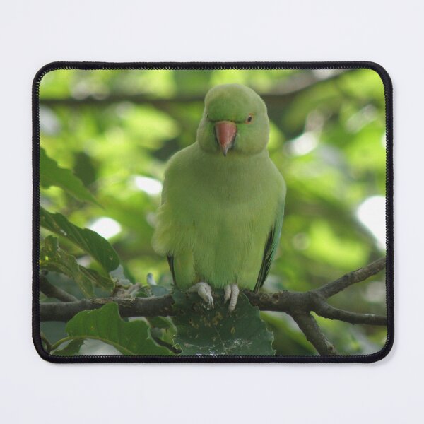 Item preview, Pretty Parakeet in a Tree designed and sold by naturegallery.