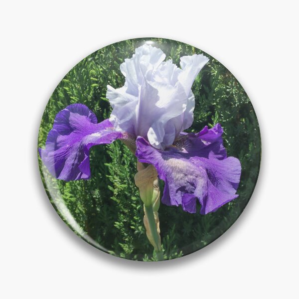 Item preview, Blue and Purple Iris  designed and sold by Amanda1775.