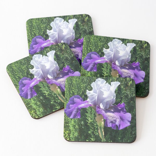 Item preview, Blue and Purple Iris  designed and sold by Amanda1775.