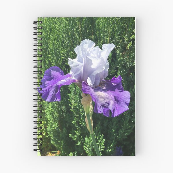 Item preview, Blue and Purple Iris  designed and sold by Amanda1775.