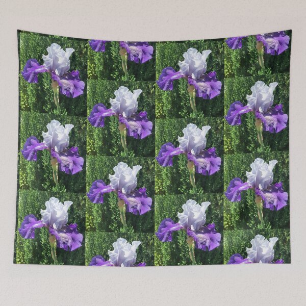 Item preview, Blue and Purple Iris  designed and sold by Amanda1775.