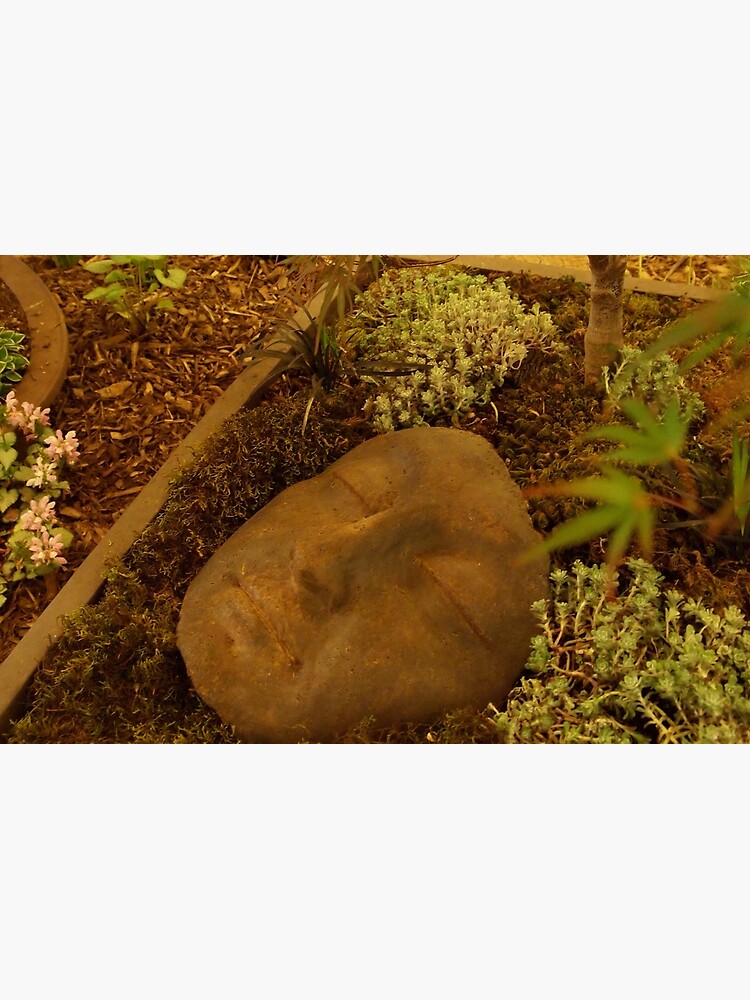 A Face in the Garden by douglasewelch