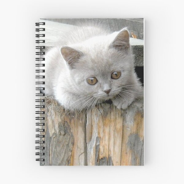 Item preview, British cat designed and sold by Lovemydesigns.