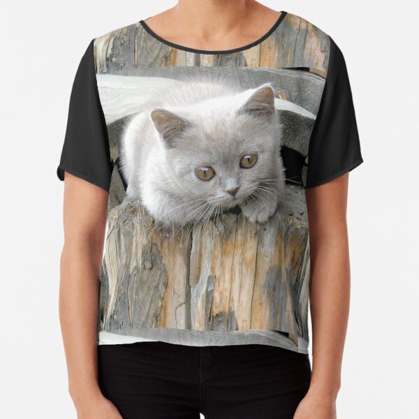 British cat Chiffon Top