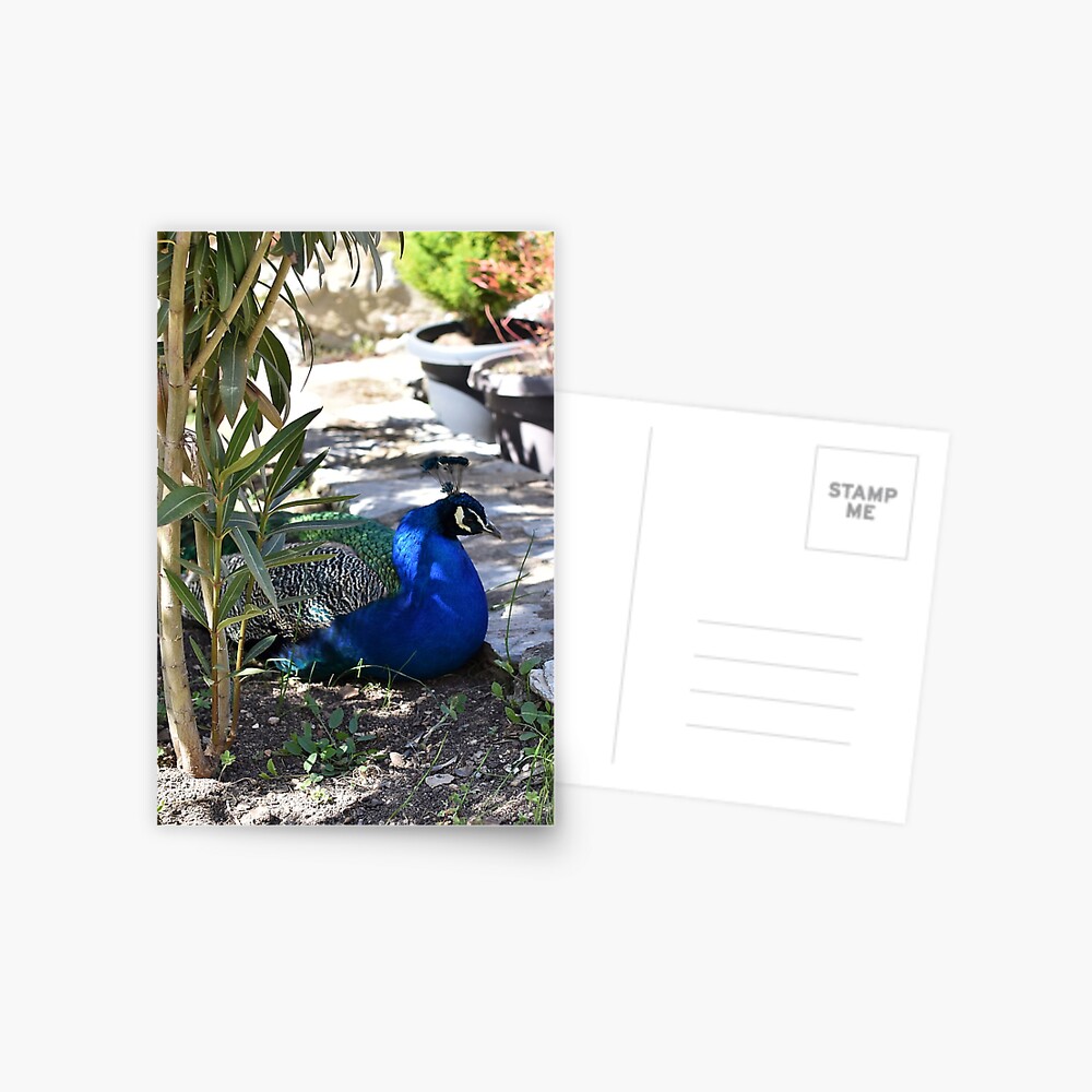 Item preview, Postcard designed and sold by KarenEspig.