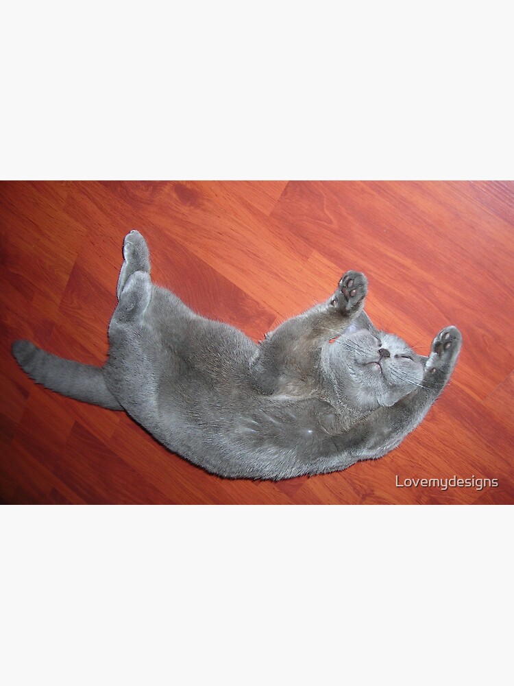 British blue cat by Lovemydesigns