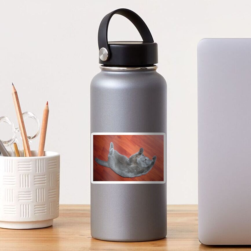 British blue cat Sticker