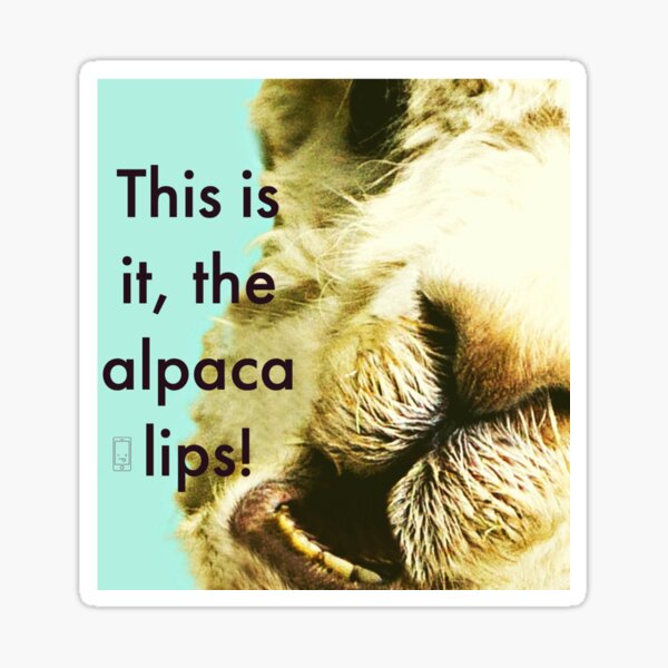 This is it, the Alpaca Lips! Sticker