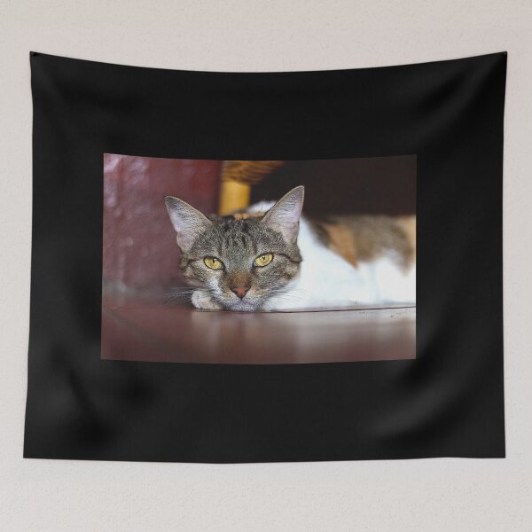 Item preview,  cat look designed and sold by ricobarinas.