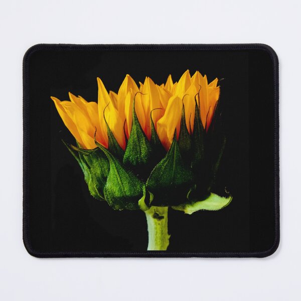 Item preview, Sunflower designed and sold by baksuart.