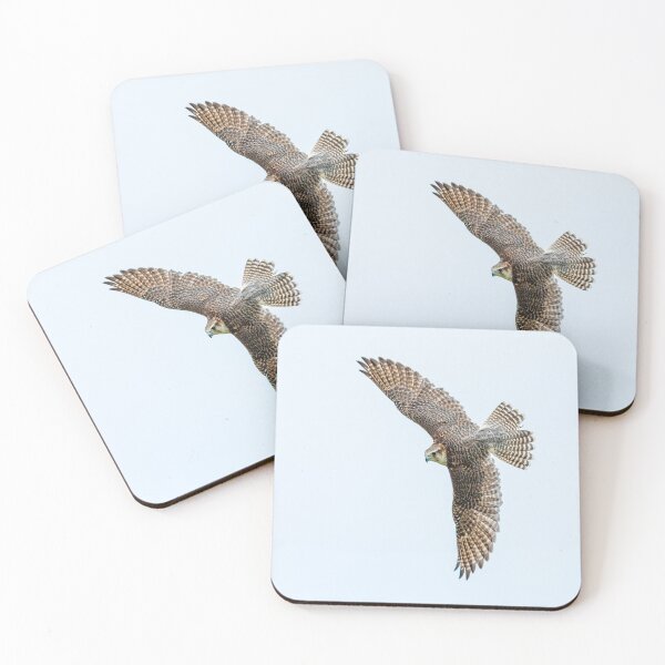 Item preview, Lanner Falcon designed and sold by Dalyndigital Photography.