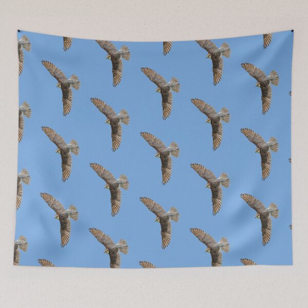 Item preview, Lanner Falcon designed and sold by Dalyndigital Photography.