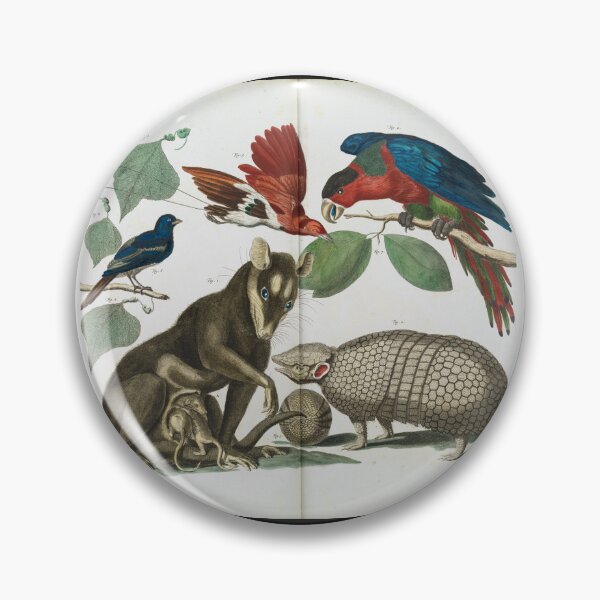 Item preview,  Molucca Opossum, Didelphis molucca and Armadillo, Tolypeutes matacus By Albertus Seba designed and sold by Amanda1775.