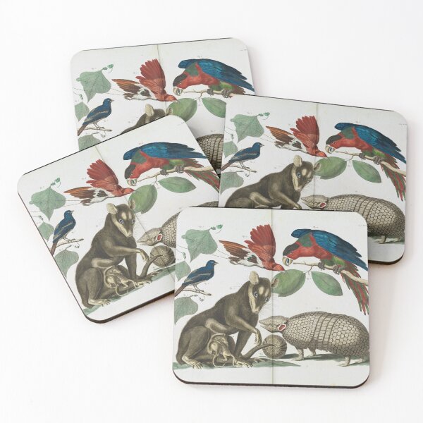 Item preview,  Molucca Opossum, Didelphis molucca and Armadillo, Tolypeutes matacus By Albertus Seba designed and sold by Amanda1775.