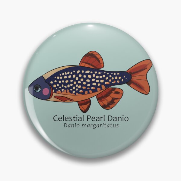 Item preview, Galaxy Rasbora / Celestial Pearl Danio with Text designed and sold by aniix5.